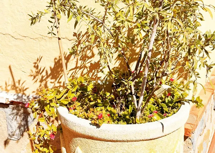 Sol וילה